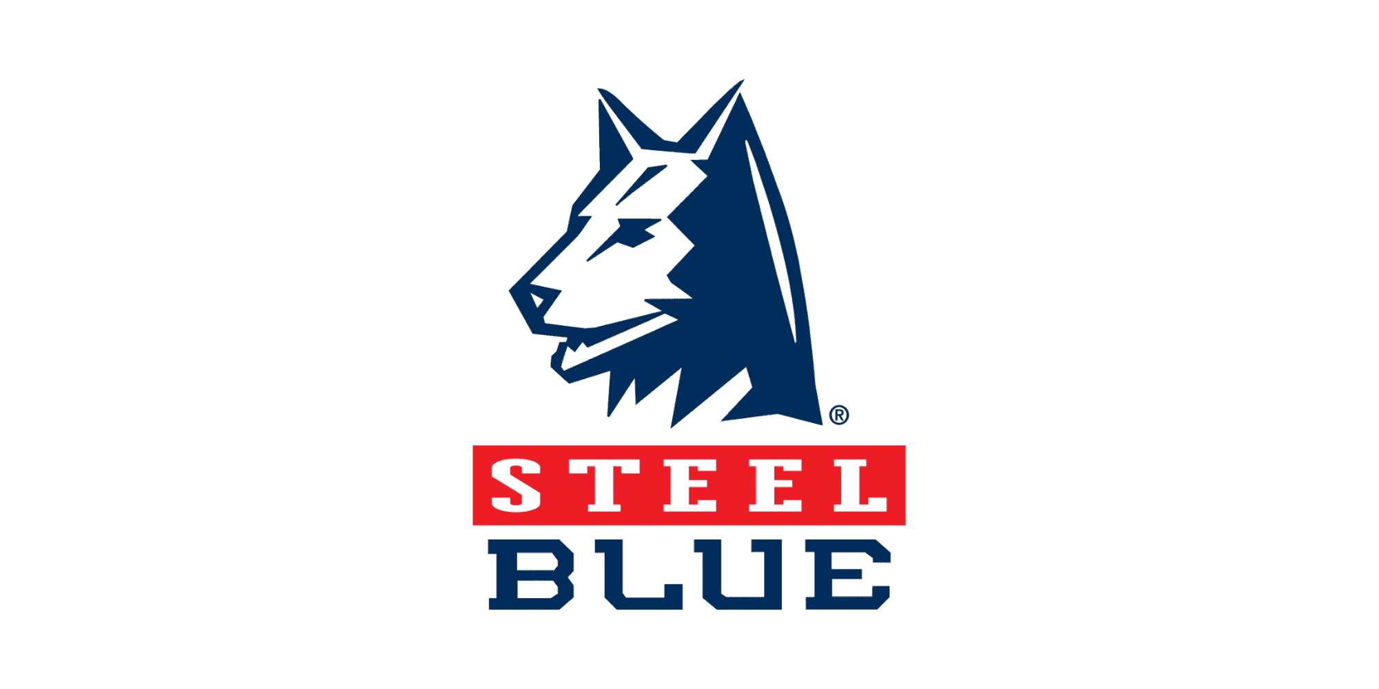 STEEL BLUE